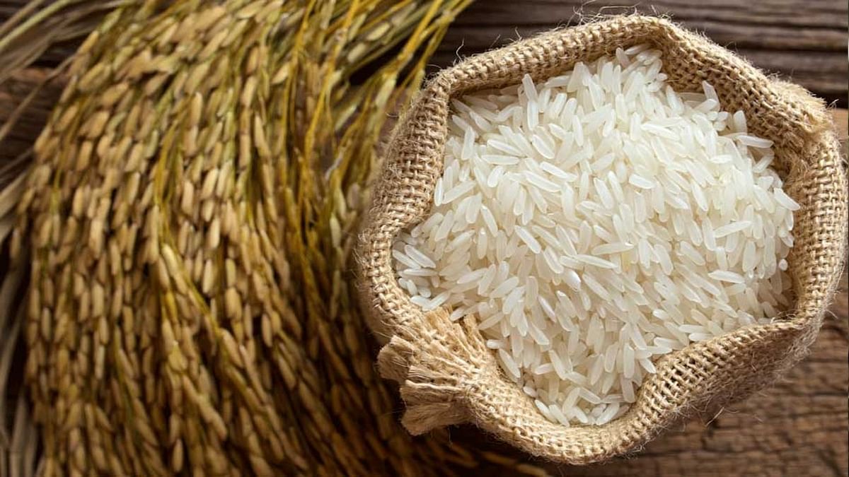 अब अपने वास्तविक स्वरूप में लौटेगा बासमती चावल, भारत में पहली बार मानक निर्धारित
