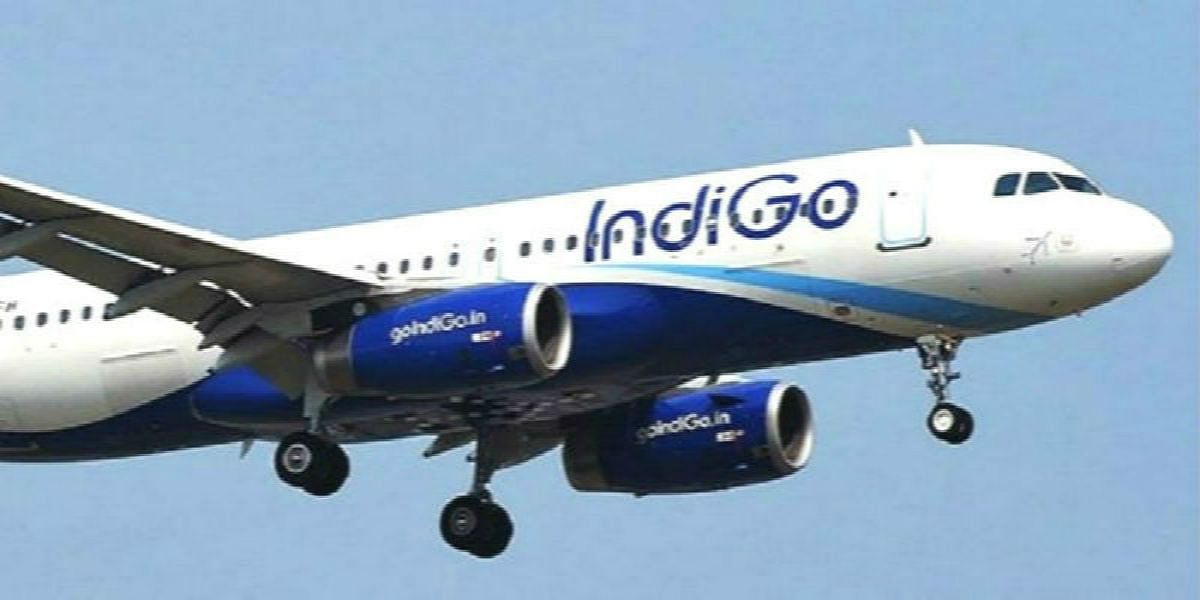 इंडिगो के यात्री ने गलती से विमान का आपात दरवाजा खोल दिया, फिर मांगी माफी, जानें पूरा मामला