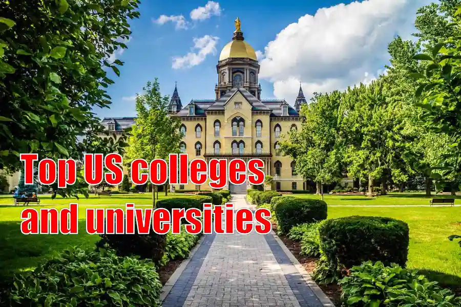 Navigating the University Landscape in the USA
